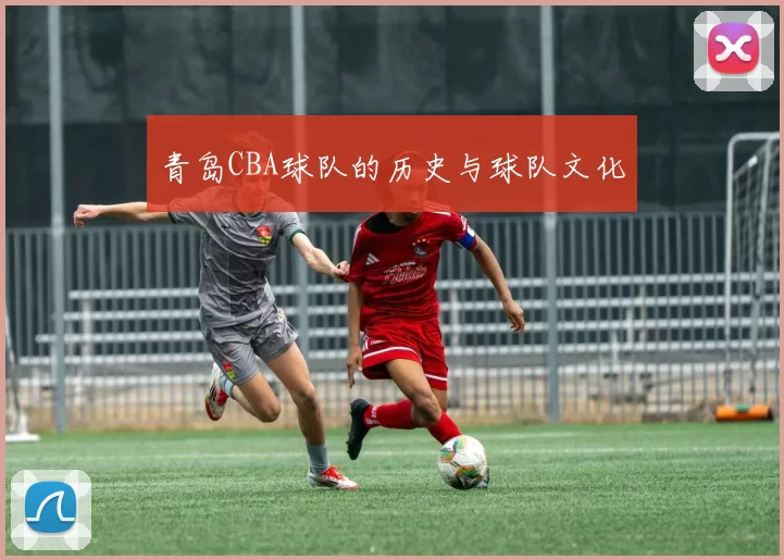 青岛CBA球队的历史与球队文化