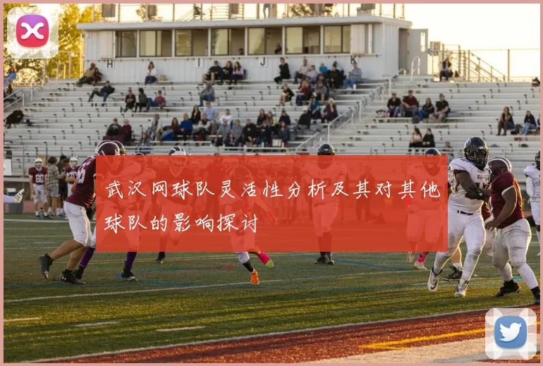 武汉网球队灵活性分析及其对其他球队的影响探讨