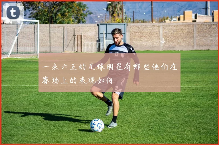 一米六五的足球明星有哪些他们在赛场上的表现如何