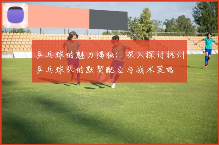 乒乓球的魅力揭秘：深入探讨杭州乒乓球队的默契配合与战术策略