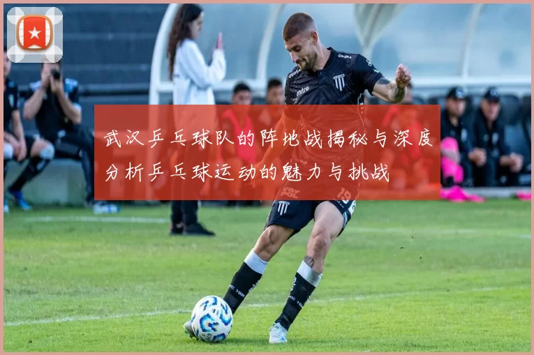 武汉乒乓球队的阵地战揭秘与深度分析乒乓球运动的魅力与挑战