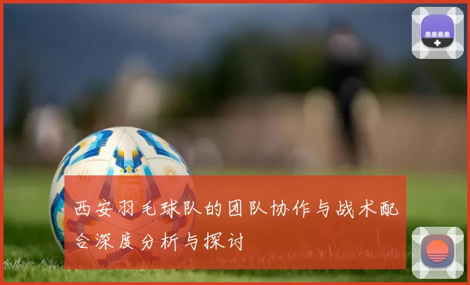 西安羽毛球队的团队协作与战术配合深度分析与探讨