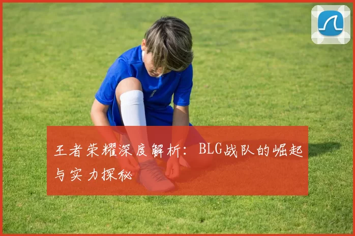 王者荣耀深度解析：BLG战队的崛起与实力探秘