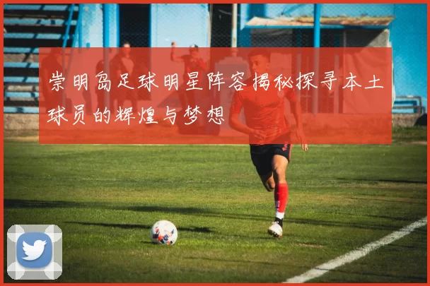 崇明岛足球明星阵容揭秘探寻本土球员的辉煌与梦想
