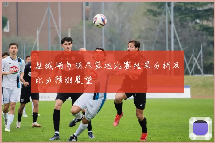 盐城湖与明尼苏达比赛结果分析及比分预测展望