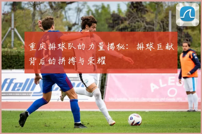 重庆排球队的力量揭秘：排球巨献背后的拼搏与荣耀