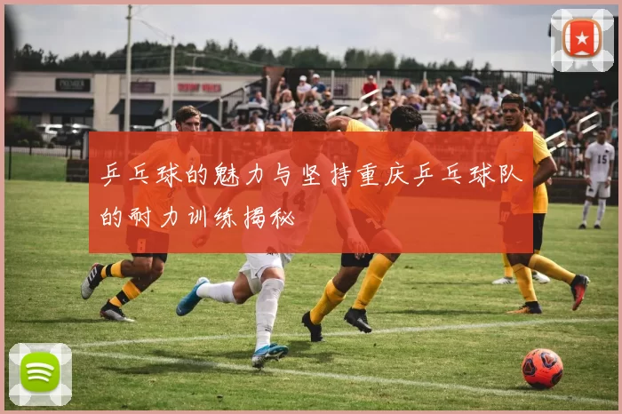 乒乓球的魅力与坚持重庆乒乓球队的耐力训练揭秘