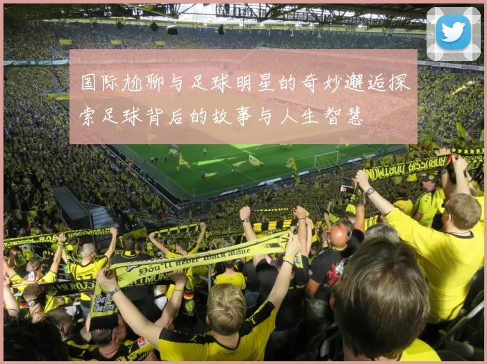 国际尬聊与足球明星的奇妙邂逅探索足球背后的故事与人生智慧
