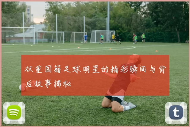 双重国籍足球明星的精彩瞬间与背后故事揭秘