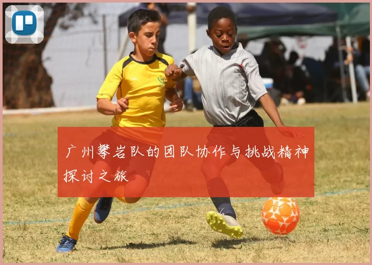 广州攀岩队的团队协作与挑战精神探讨之旅