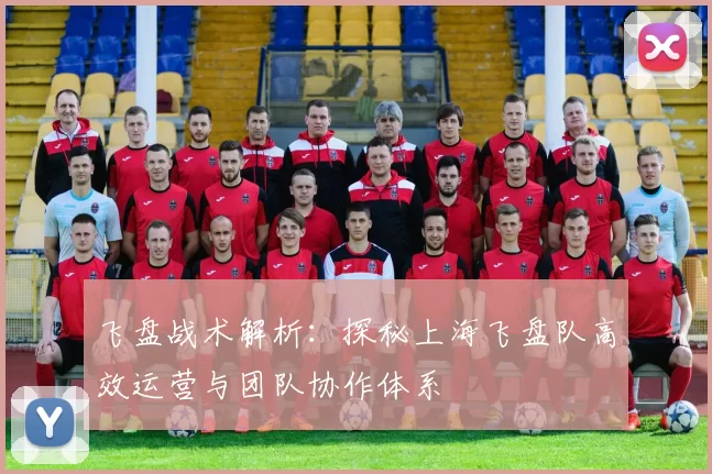 飞盘战术解析：探秘上海飞盘队高效运营与团队协作体系