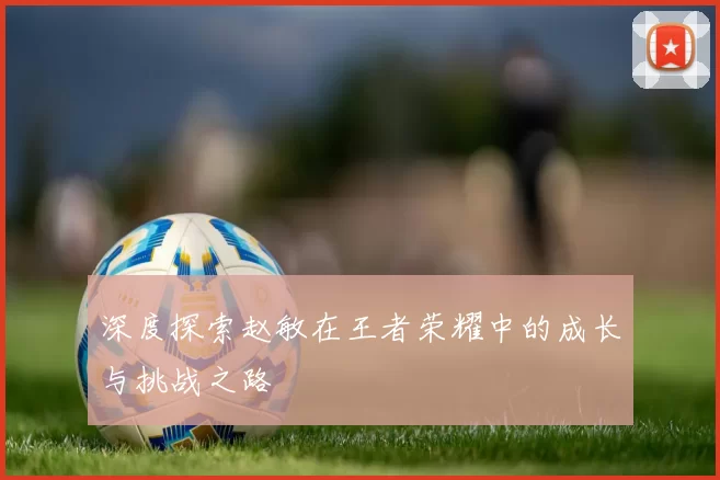 深度探索赵敏在王者荣耀中的成长与挑战之路