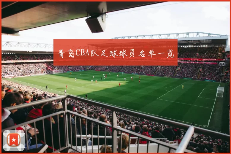 青岛CBA队足球球员名单一览