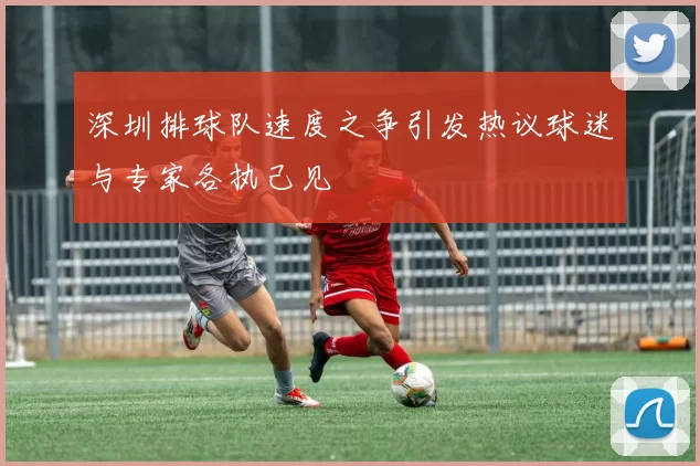 深圳排球队速度之争引发热议球迷与专家各执己见