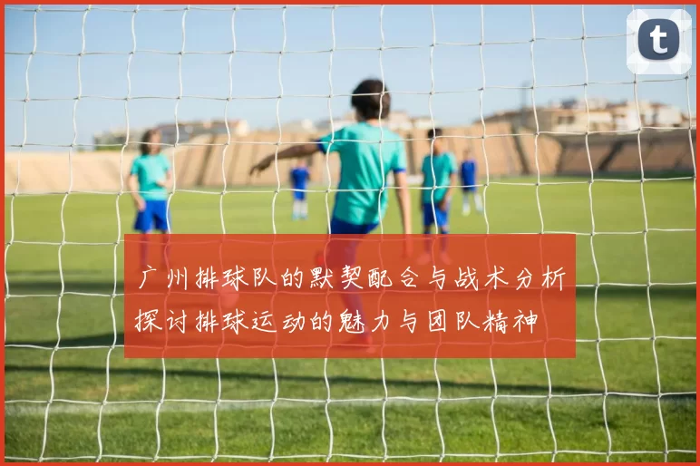 广州排球队的默契配合与战术分析探讨排球运动的魅力与团队精神