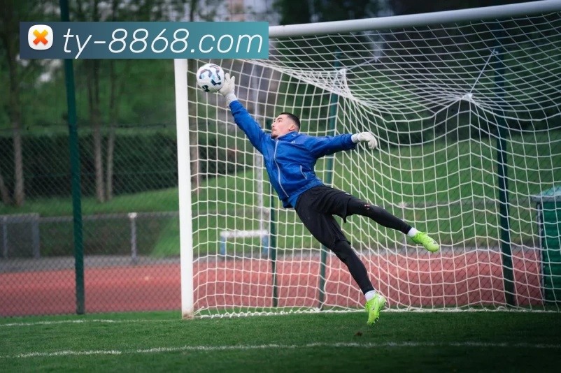 8868体育发展历程