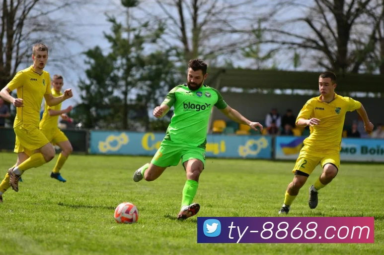 飞盘竞技与心理博弈：深入南京飞盘队的心理素质探索之旅